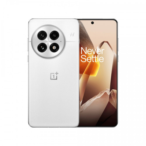 OnePlus CPH2653 13 Europe 16/512GB Artic Dawn EU